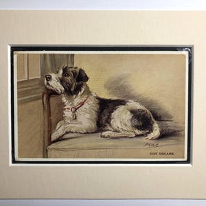 Carte postale vintage Lucy Dawson Mac terrier aux cheveux métalliques Saint-Valentin Rêves d'anniversaire chien Patrick Terrier anniversaire n° 2440 Pièce de collection