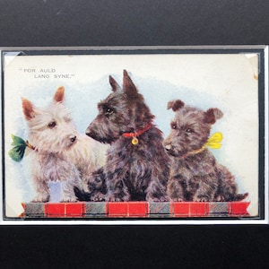 FLORENCE E VALTER Terrier escocés Scottie Westie perro Vintage firmado Valentine & sons serie No.1840 postal Auld Lang Syne