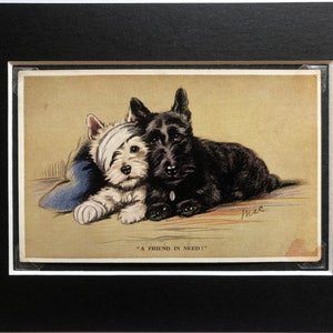 Carte postale vintage Scottish Westie Terrier VALENTINE TAILWAGGER Lucy Dawson Mac Collectors article Noël anniversaire Thanksgiving n° 1995