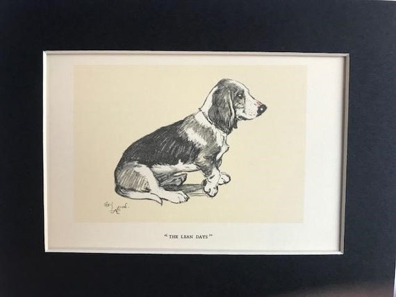 BASSET HOUND Hunting DOG Signed Mounted 1928 Cecil Aldin Collie
