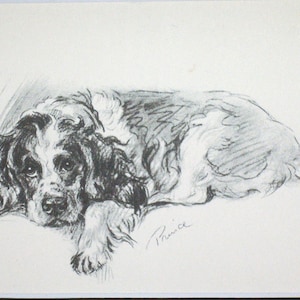 SPRINGER SPANIEL Vintage Mounted 1936 &#39;Mac&#39; Lucy Dawson Prince dog plate print Unique gift Christmas, Birthday, Thanksgiving present gift