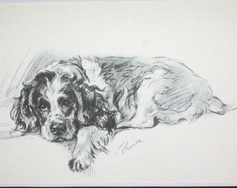 Vintage Springer Spaniel Print, Lucy Dawson Dog Art, Mounted Book Plate