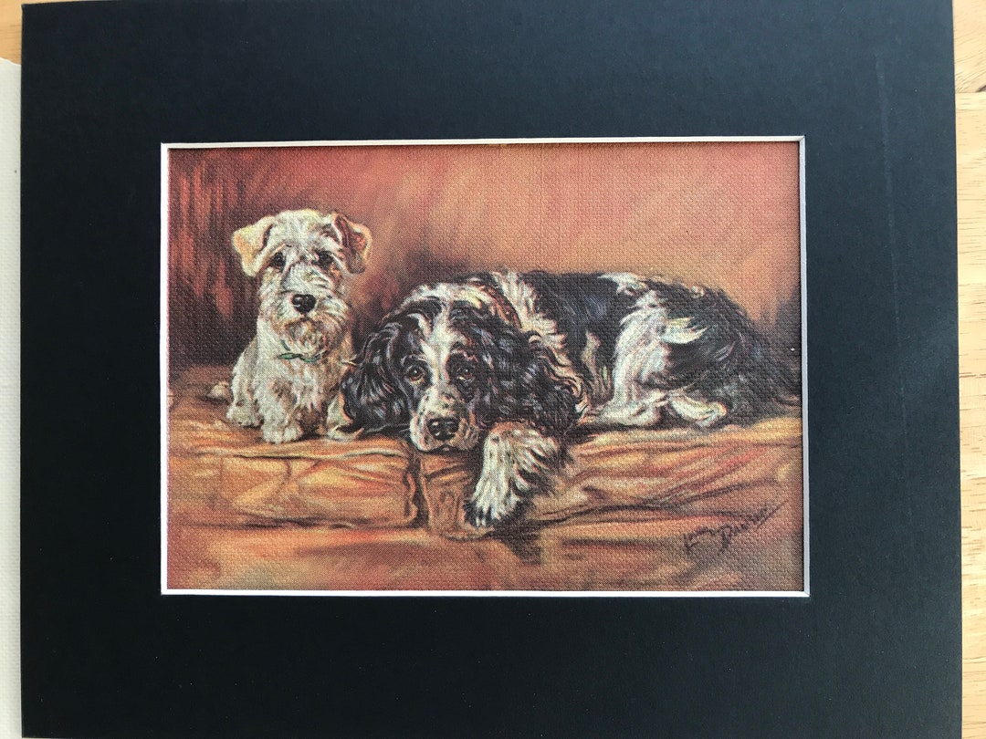 SPRINGER COCKER SPANIEL Terrier Vintage Signed Colour 1938 Lucy Dawson ...