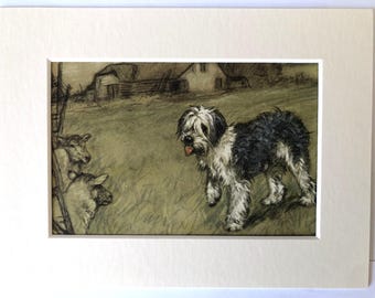 Targa Metallica Retrò 20x30 Cm – Donna Con Vino E Rottweiler, Decorazione Umoristica