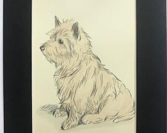 CAIRN TERRIER dog Vintage Mounted 1936 'Mac' Lucy Dawson Cairn terrier hand coloured dog plate print  Birthday, Christmas, Thanksgiving