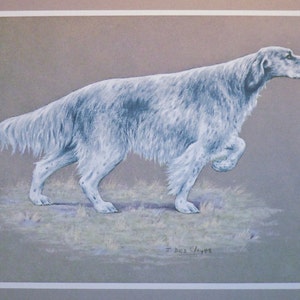 Cane SETTER INGLESE del 1968, stampa d&#39;epoca originale di Jacqueline des Clayes, ex libris, regalo unico e raro.
