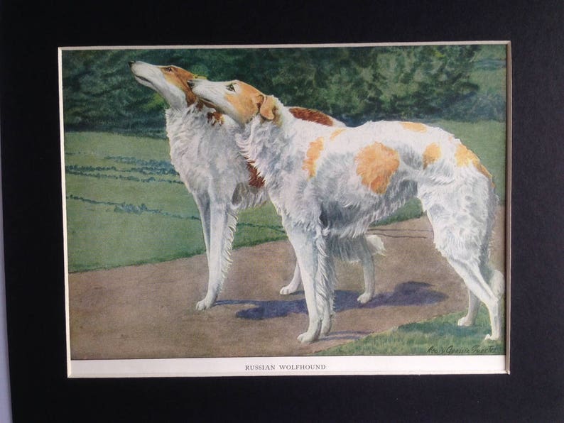 Megargee MATTED Dog Art Print Borzoi