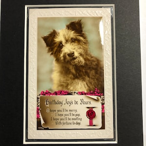 Década de 1930 Vintage Wire haired terrier perro postal montada Real Fotografía regalo Cumpleaños alegrías ser tuyo saludos Cumpleaños Regalo coleccionable