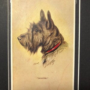 Années 30, Terrier écossais LUCY DAWSON MAC Scottie chien vintage Saint Valentin série Tailwagger photo montée No 2657 anniversaire de Noël
