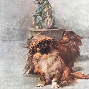 PEKINGESE PEKE DOG Maud Earl Antique signed 1911 mounted Pekinese dog plate print Unique gift Christmas, Birthday, Thanksgiving gift