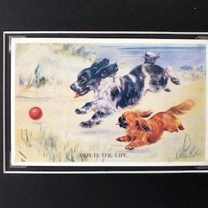 MABEL GEAR Pekingese Spaniel dog Vintage Valentine series post card mounted picture gift This is the life No.5570 Christmas Birthday gift