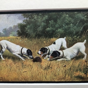 Fox terrier London Alpha Series cartão postal Item de colecionador Cartão postal vintage Natal Aniversário Ação de Graças Terriers com ouriço