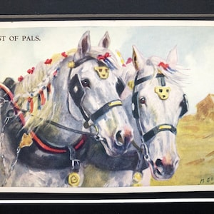 MABEL GEAR Caballo pony Vintage firmado San Valentín e hijos CABALLO estudios serie No.5542 postal montado foto regalo Navidad Cumpleaños