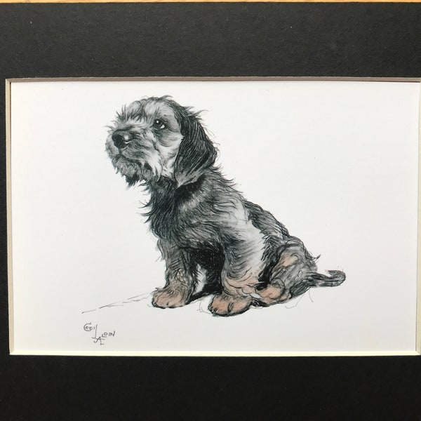 1990s Cecil Aldin DANDIE DINMONT terrier dog Vintage series Dogs by Cecil Aldin postcard mounted picture Birthday Christmas gift