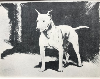 BULL TERRIER DOG print plate Vintage Mounted 1932 Diana Thorne birthday christmas thanksgiving unique gift