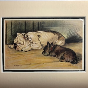 BULLDOG SCOTTIE Lucy Dawson Mac Scottish terrier chien vintage Valentines Tailwagger série montée sur carte postale n° 3086 Pièce de collection