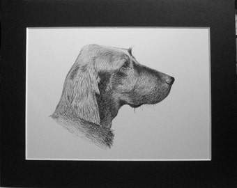 1935 Irish Setter Dog Print, C Francis Wardle Vintage Bookplate