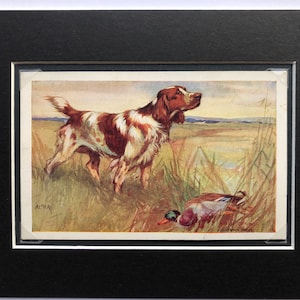 Chien épagneul springer gallois Vernon Stokes London Alpha Series n° 3202 article de collection vintage carte postale Noël anniversaire Thanksgiving