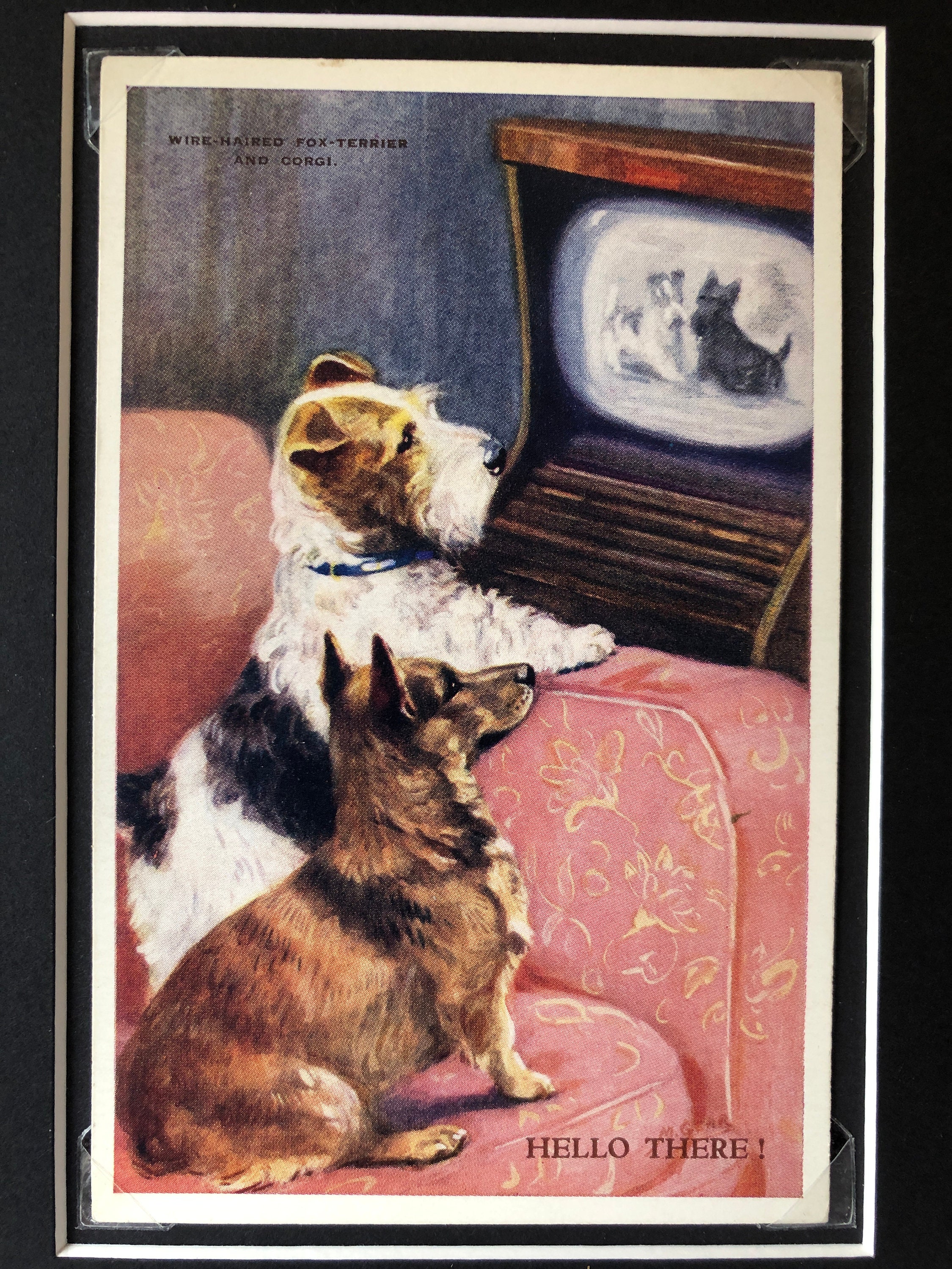 Valentine's MABEL GEAR Postcard 1930s Wire Haired Terrier Corgi