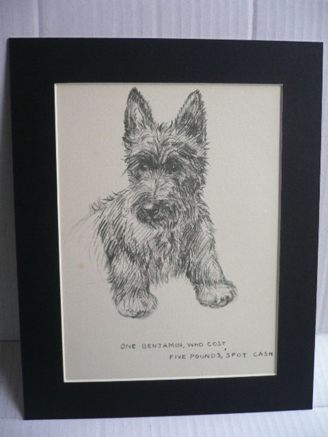 are scottish terriers barkers
