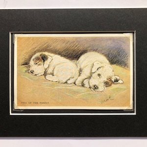 VALENTINE TAILWAGGER Vintage Lucy Dawson Mac No. 3886 postal foto SEALYHAM Terrier cachorros Navidad Cumpleaños Regalo de Acción de Gracias