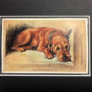 Carte postale vintage Lucy Dawson Mac, Saint-Valentin, Terrier irlandais, Patrick Terrier, pense à vous, anniversaire n° 2864