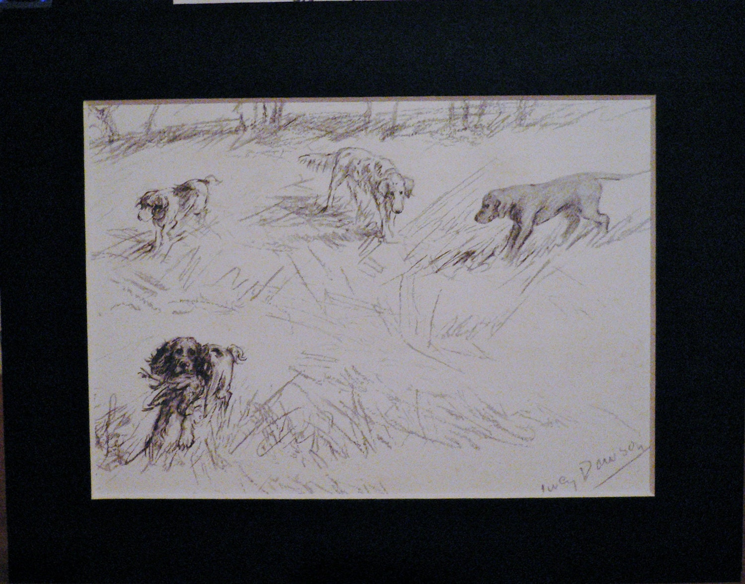 Vintage Dog Print, Lucy Dawson 1940s Bookplate, Matted Spaniel Art - Etsy