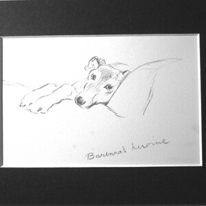 GREYHOUND DOG Vintage Mounted 1937 &#39;Mac&#39; Lucy Dawson Barbara&#39;s heroine greyhound dog plate print Christmas, Birthday, Collector&#39;s item