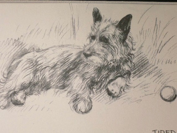 CAIRN TERRIER WITH A BALL OLD 1930/'S BOOKPLATE DOG ART PRINT READY MOUNTED