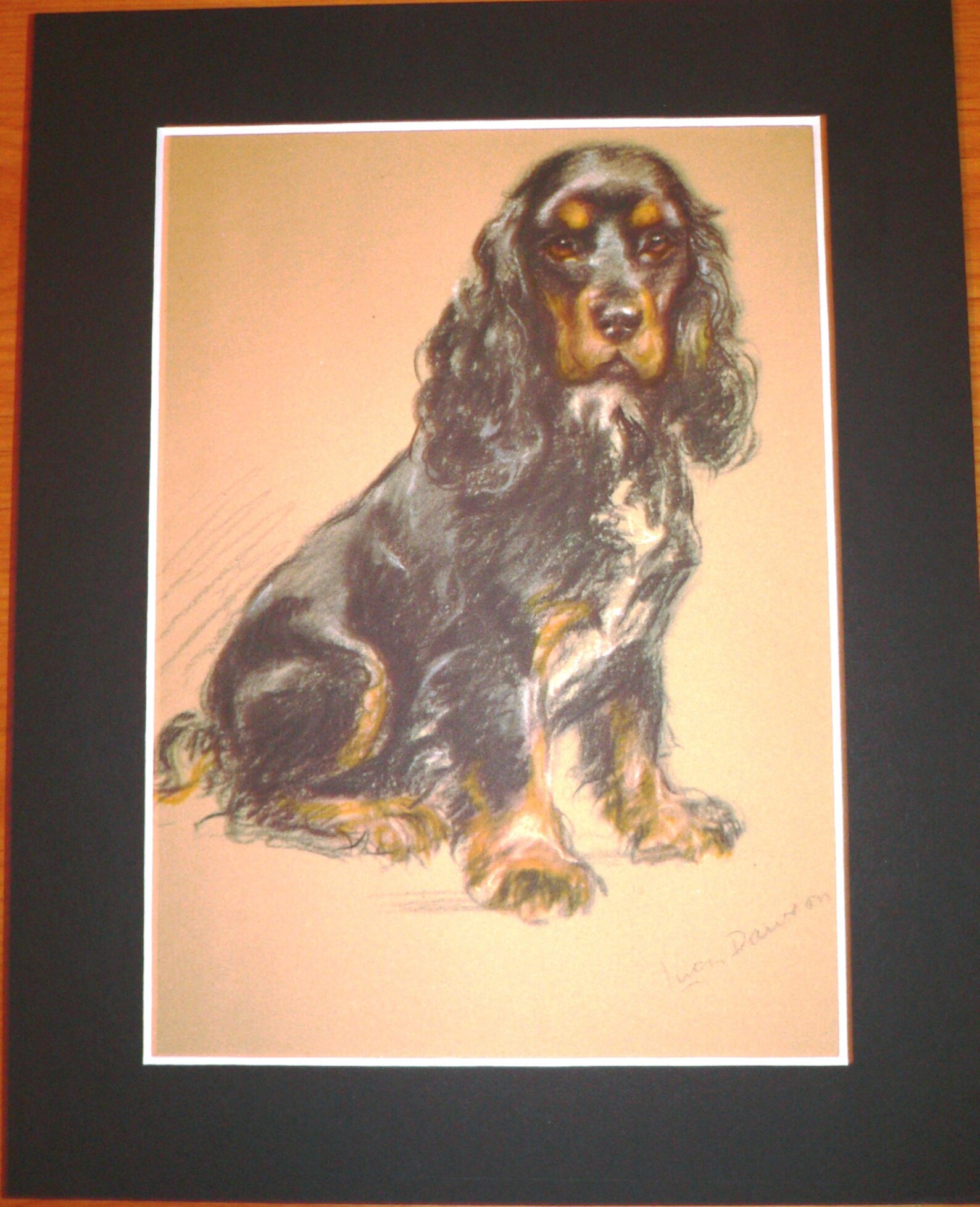 Lucy Dawson Spaniel Dog Print - 1946 Vintage Bookplate Art - Etsy