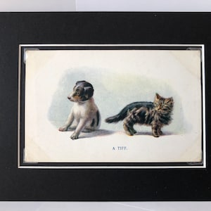Vintage Dog cartolina C W Faulkner serie Cats Kitten and dog A Tiff London serie 1640 regalo fotografico montato Natale Compleanno