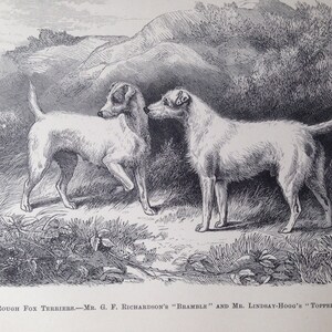 ROUGH Fox TERRIER dog ANTIQUE lithograph illustration Print 1878 London Stonehenge J H Walsh Christmas Thanksgiving Birthday dog lover gift