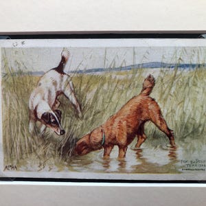 Fox e cão terrier irlandês Vernon Stokes London Alpha Series No. 3262 Item de colecionador Cartão postal vintage Natal Aniversário Ação de Graças