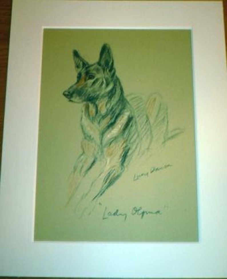 Signed Mounted 1937 'Mac' Lucy Dawson Lady Olfina Alsatian German shepherd dog plate/print Unique gift image 1