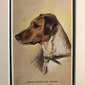 Photo de carte postale vintage Lucy Dawson Mac de la Saint-Valentin, fox terrier à poil lisse, anniversaire de Noël unique n° 2868, pièce de collection