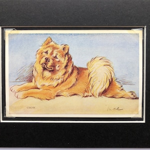 Photo de carte postale vintage de chien Chow Chow Lucy Dawson Mac Saint-Valentin anniversaire Noël unique Thanksgiving no 963