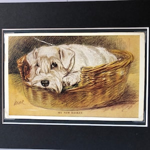 VALENTINE TAILWAGGER Postal vintage de Lucy Dawson Mac n.º 3800 con imagen de SEALYHAM Terrier Nueva cesta Regalo de Navidad Cumpleaños Acción de Gracias