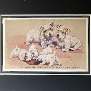 Photo de carte postale vintage Lucy Dawson Mac de Sealyham, Saint-Valentin, chiot Terrier, anniversaire de Noël unique n° 4732, objet de collection