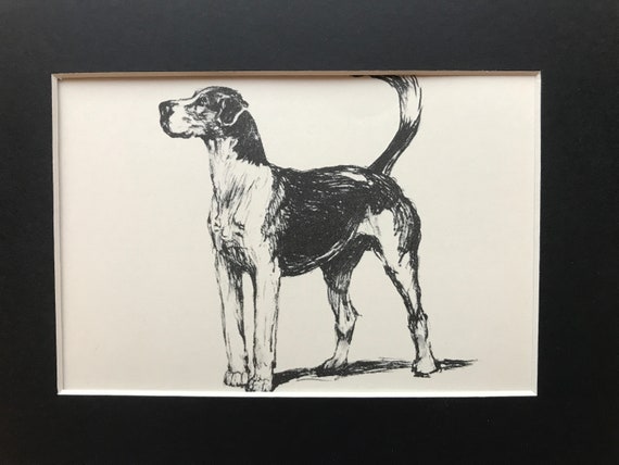 Cecil Aldin 1933 Horse Racing Hunting Peterborough Hound Fox