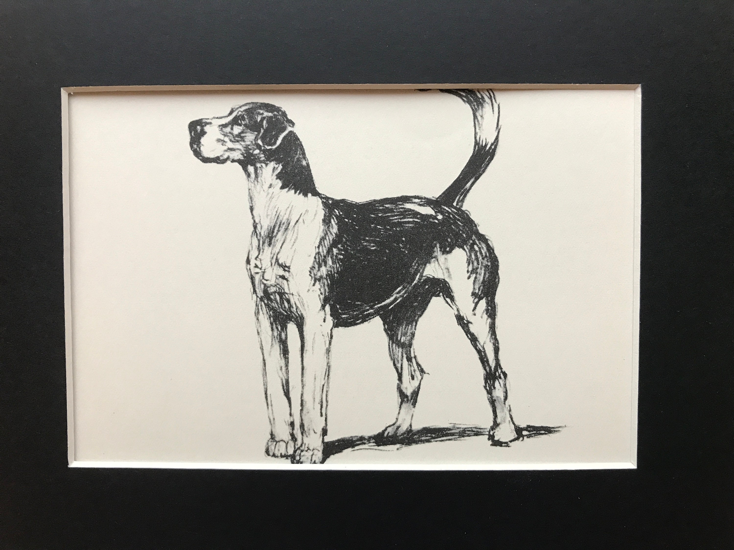 Cecil Aldin 1933 Horse Racing Hunting Peterborough Hound Fox