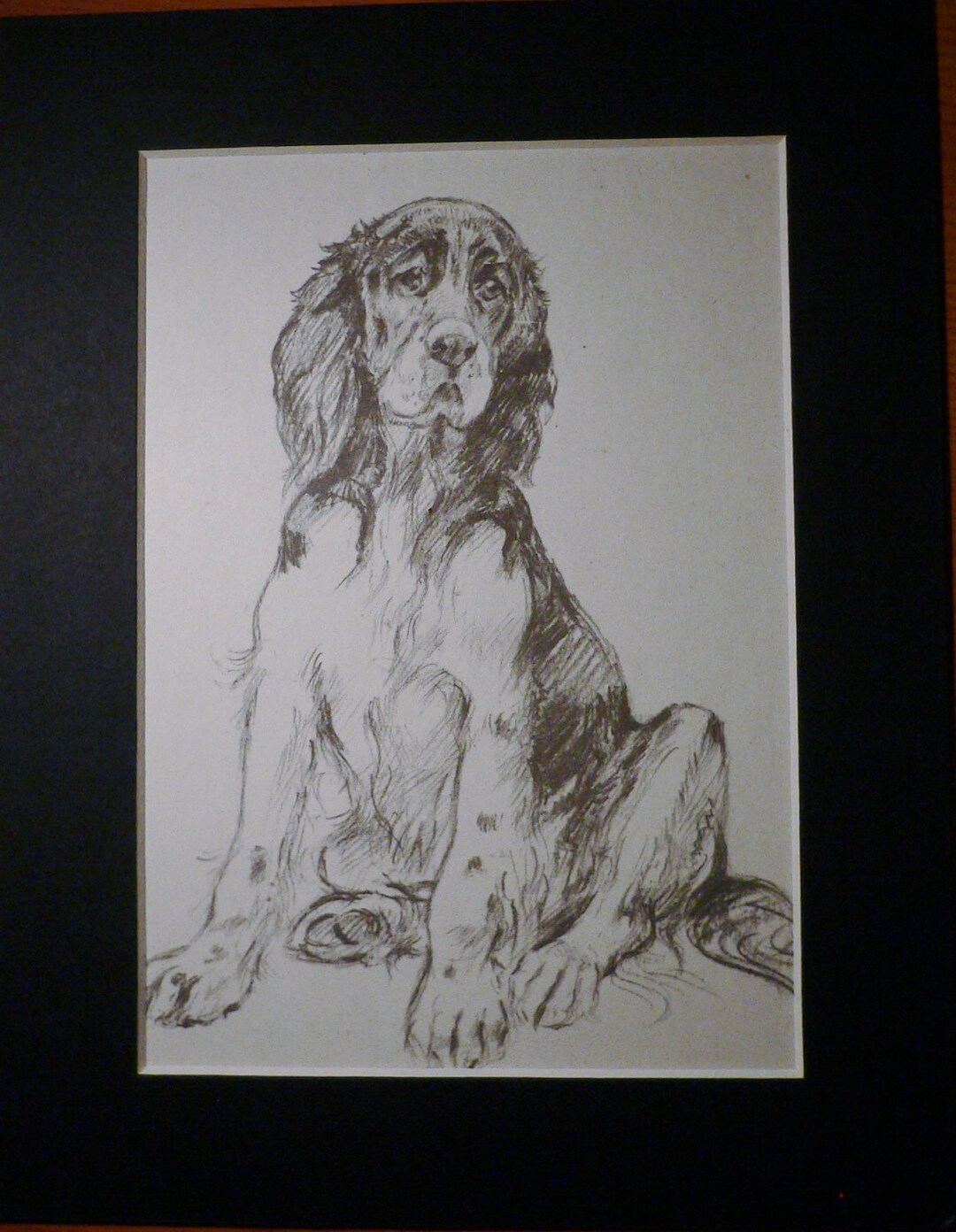 SPRINGER SPANIEL DOG Vintage Mounted K F Barker 1933 Sorrowful Springer ...