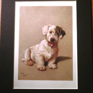 SEALYHAM TERRIER DOG Signed mounted 1928 Cecil Aldin Sealyham terrier dog plate print Christmas gift Thanksgiving present Unique present