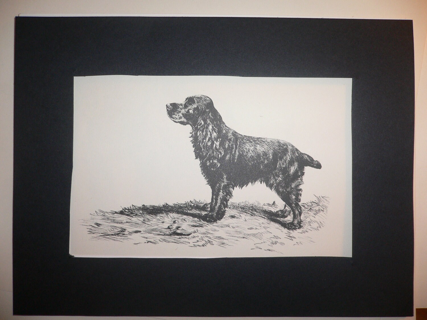 Retriever bird hunting dog Vintage Mounted 1936 /'Mac/' Lucy Dawson dog plate print Hand coloured Birthday Christmas Thanksgiving gift