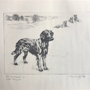1930 ENGLISH SETTER hunting dog Vintage signed original Vernon Stokes mounted dog bookplate print Unique birthday Christmas gift