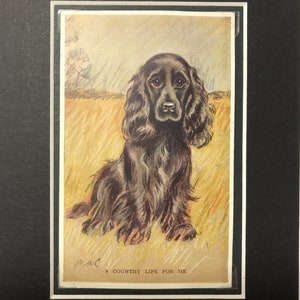 1930 Cocker spaniel VALENTINE TAILWAGGER Vintage Lucy Dawson Mac No. 3565 postcard picture Unique Christmas Birthday Thanksgiving gift