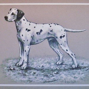 1968 DALMATIAN Dog Vintage original Jacqueline des Clayes bookplate dog print Unique rare gift