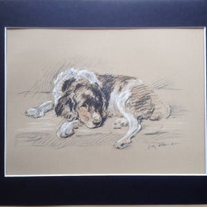 1936 &#39;Mac&#39; Lucy Dawson Welsh Springer spaniel vintage signed mounted dog plate print Unique Christmas birthday Thanksgiving Congrats gift