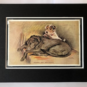 VALENTINE TAILWAGGER vintage Lucy Dawson Mac carte postale Sealyham Terrier Irish wolfhound dog Unique Christmas Birthday Thanksgiving No.2319
