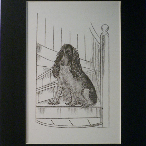 1949 Blue Roan COCKER SPANIEL dog Vintage original C Francis Wardle bookplate dog print Unique rare gift