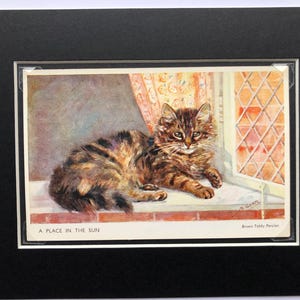 MABEL GEAR Gatto gattino cartolina n. 5072 tempo di gioco Vintage firmato Salmon Ltd cartolina montata Brown tabby Persiano regalo di Natale per amante dei gatti